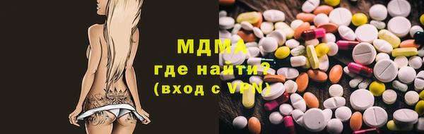 гашик Алексин