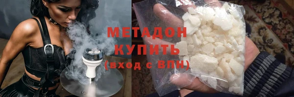 гашик Алексин
