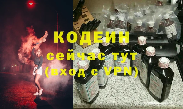 гашик Алексин