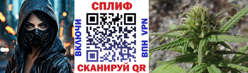 Каннабис конопля  Тимашёвск 
